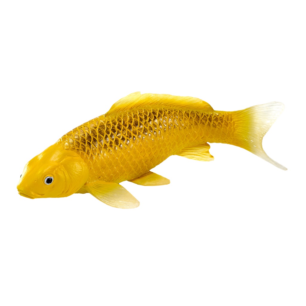 Levně Mojo Kapr koi kin matsuba