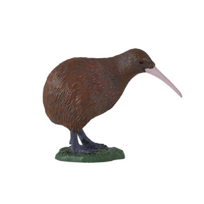 Mojo Novozélandské kiwi