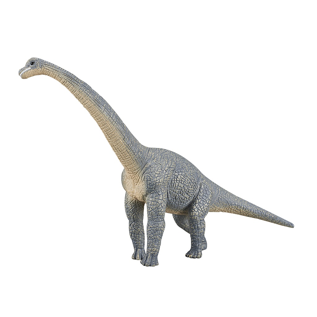 Levně Mojo Brachiosaurus