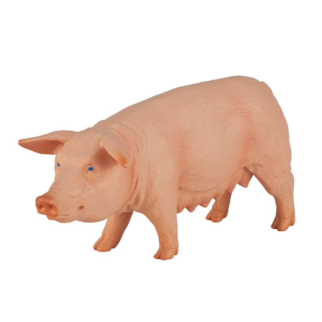 Levně Mojo Prasnice